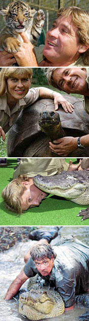 Знаменитий “мисливець на крокодилів” Стів Ірвін загинув від удару морського кота