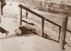 Померла дитина на вулиці Харкова. 1933 р. Фото інж. А.Вінербергера