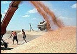 Ручне керування експортом зерна шкодить авторитетові України