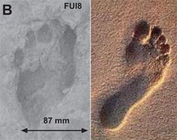 Відбиток ноги стародавньої людини (ліворуч) і сучасної (праворуч), які дозволити визначити механіку руху