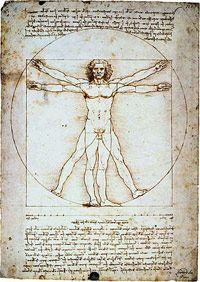 Вітрувіанський чоловік Леонардо да Вінчі (канонічні пропорції)