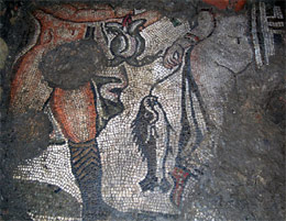 Фрагмент мозаїки. Зображення Soprintendenza per i Beni Archeologici dell'Emilia-Romagna з сайту Discovery