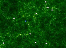 Космічний світанок, яким його спрогнозувала комп’ютерна симуляція. Зелені завихрення - згустки темної матерії. Зображення Інституту комп’ютерної космології при Даремському університеті