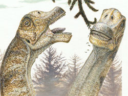 У США знайдено останки різновиду динозавра, що раніше не досліджувалися
