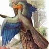 Археоптерикс виявився нічним птахом