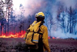 Лісові пожежі в Україні поки що вдається приборкувати