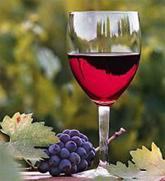 Червоне вино захищає мозок від пошкоджень після ішемічного інсульту