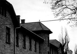Блок 24а основного табору Освенцим. Перший поверх був табірним борделем. 