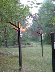 Поляки збудують меморіал пам’яті жертв репресій під Києвом