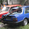 Через буревій в Одесі падали дерева. Є жертви