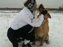 Тимошенко цікавить: її собаки на підписці чи ні?