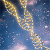 Сайт знайомств запропонував шукати «другу половинку» за ДНК-тестом