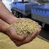 Уряд Азарова зняв обмеження на експорт зерна