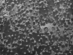 Марсохід знайшов на поверхні планети загадкові кульки
