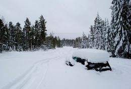 В лісовій глушині в околицях міста Умео водій снігоходу помітив невкриту снігом частину автомобіля. Фото - www.folkbladet.nu