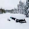 Швед потрапив у снігову пастку і два місяці просидів у машині