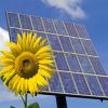 Сонячні електростанції Клюєва коштували бюджету більше, ніж усі обленерго разом взяті