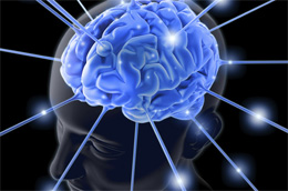 Нейробіологи тепер знають, як «вимикати» людську пам’ять