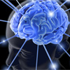 Нейробіологи знайшли «вмикач» людської пам’яті