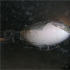 Катастрофа літака у Донецьку сталася через туман?
