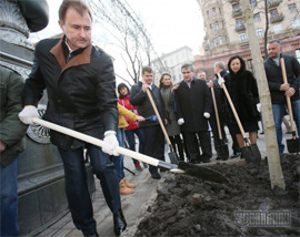 Хроніки дерибану. “Київзеленбуд” відмовився від безкоштовних саджанців, щоб освоїти 10 млн гривень