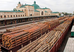 Сировина, в українському експорті, становить 70%