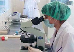 У Львові вже є лабораторія, здатна визначати каліфорнійський грип