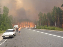 Реальна небезпека. Російські лісові пожежі наближаються до Чорнобильських лісів