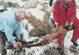 Мумію знайшли в 1991 році туристи з Німеччини в Тірольських Альпах, на льодовику Сімілаун в долині Ецталь на висоті 3200 м над рівнем моря в результаті сильного танення криги