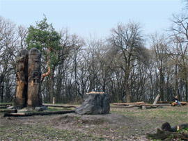 Лиса гора в Києві