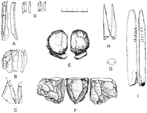 Найдавніші пізньопалеолітичні вироби з найнижчого шару стоянки Костенки-14. A-D, F - кам'яні вироби, Е - вирізаний із кістки слона (мамонта) об'єкт, що можливо є незавершеним скульптурним зображенням людської голови, G - просвердлена раковина молюска, H, I - кістяні вироби. 