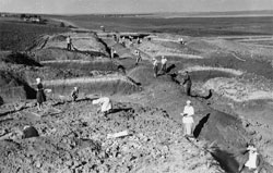 Археологічні дослідження на поселенні Володимирівка, 1946 рік.