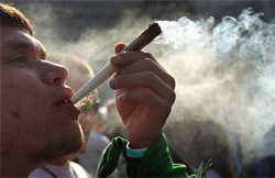 Куріння марихуани у відомих голландських кав'ярнях допускається, але туди не можна підмішувати тютюн