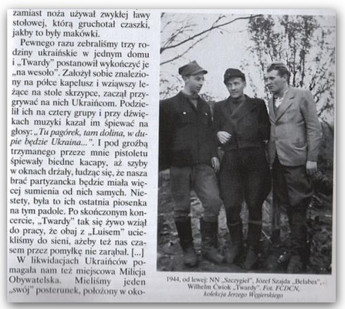 Бойовики, керовані вищими керівництвом АК, більше винищували українців та й поляків ніж фашистів