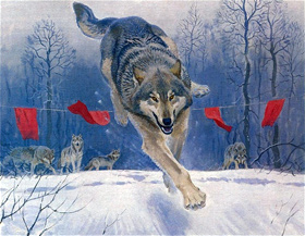 Полювання на вовка